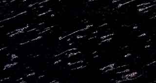 Fish Black